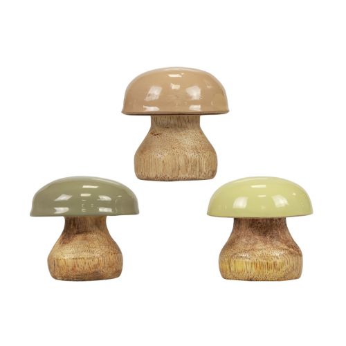 Floristik24 Puiset sienet Deco sienet Wood Deco beige, vihreä Ø5cm K5,5cm 12kpl