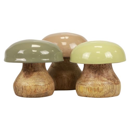 Puiset sienet Deco sienet Wood Deco beige, vihreä Ø5cm K5,5cm 12kpl