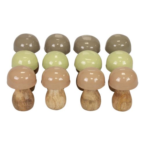 Floristik24 Puiset sienet koristesienet puu beige, vihreä Ø5cm 7,5cm 12kpl