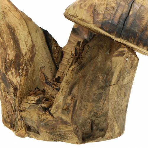 Floristik24 Sienet Luumu Puu H27cm
