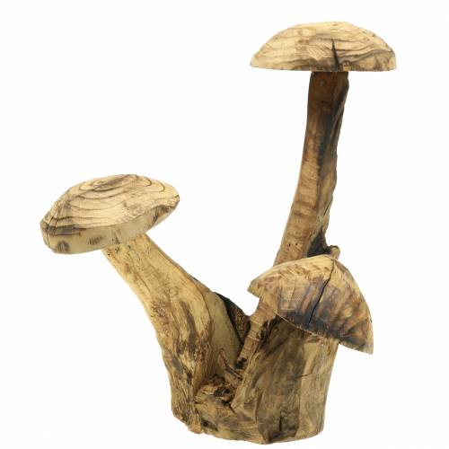 Floristik24 Sienet Luumu Puu H27cm