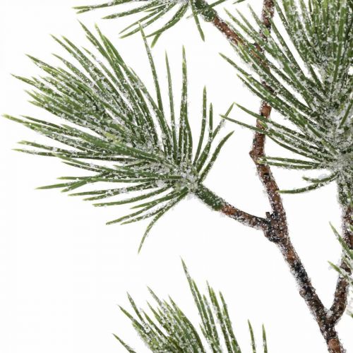Joulunoksat Männynoksa Lumisade 54cm 3kpl nipussa
