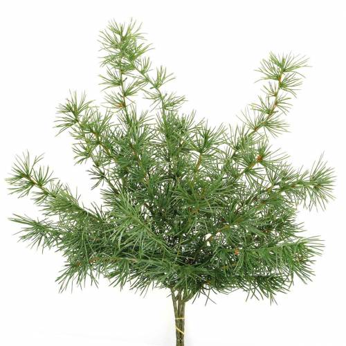 Floristik24 Keinomainen männynoksavihreä 53cm 3 kpl