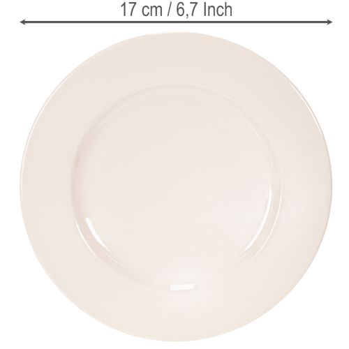 Pyöreät, yksinkertaiset koristelautaset ja pienet asetelmat, 17 cm, 6 kpl | Floristik24.fi