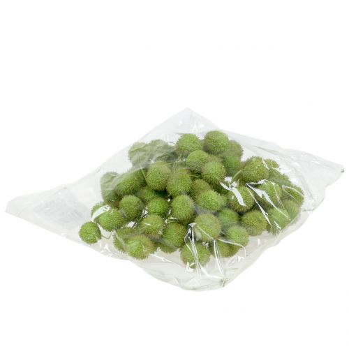 Floristik24 Sycamore-hedelmät vihreät 200g