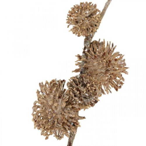 kohteita Koristeellinen oksaplaaani hedelmillä Syksyn koristelu Keinotekoinen plataani Ruskea L82cm Ø2-4cm