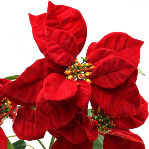 Keinotekoinen joulutähti punainen varsi kukka 3 kukkia 85cm