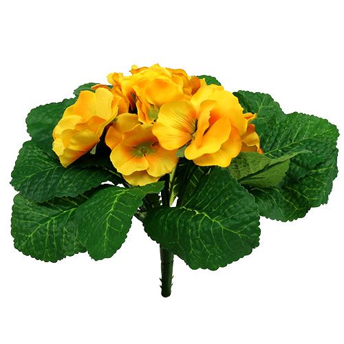 Floristik24 Primrose 15cm Keltainen