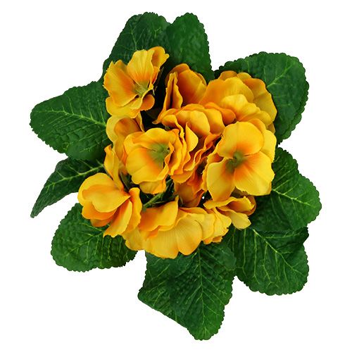 Floristik24 Primrose 15cm Keltainen