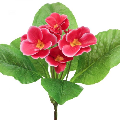 Floristik24 Primroses tekokukat Cowslips Pink K25cm