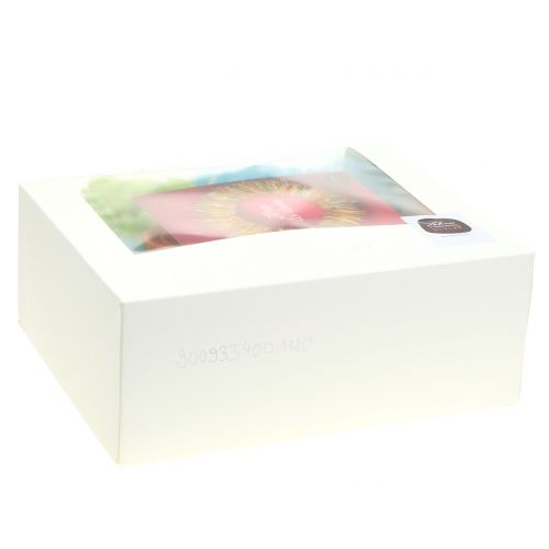 Floristik24 Käsityösarja Lehner-villaa jousivärinen