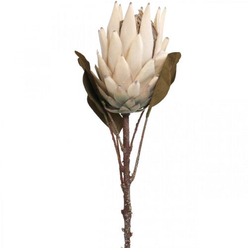 Protea Keinotekoisesti Kuihtunut Drylook Beige Ruskea Vihreä 72cm