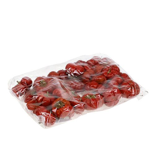 Floristik24 Pumkin Minis Red 250g