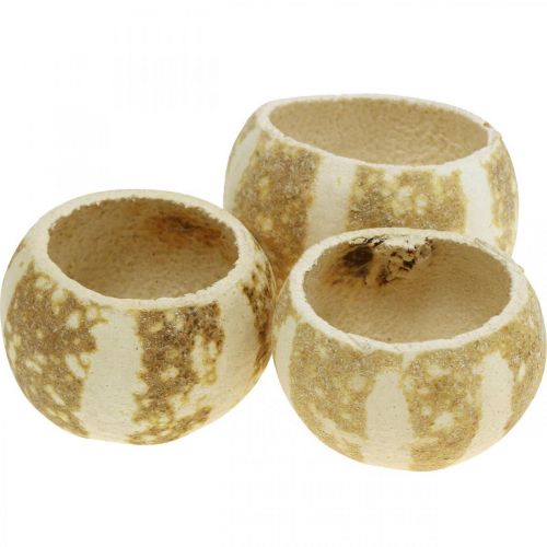 Pumpkin Deco Bell Cup Pumpkin Cup valkaistu 50kpl