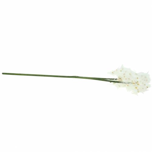 Floristik24 Keinotekoinen niitty kukka jättiläinen voikukka valkoinen 57cm