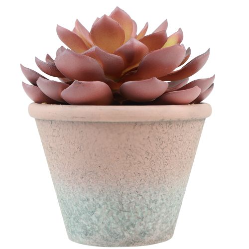 kohteita Mehikasvi ruukussa Echeveria keinopunainen vintage Ø15cm K16cm