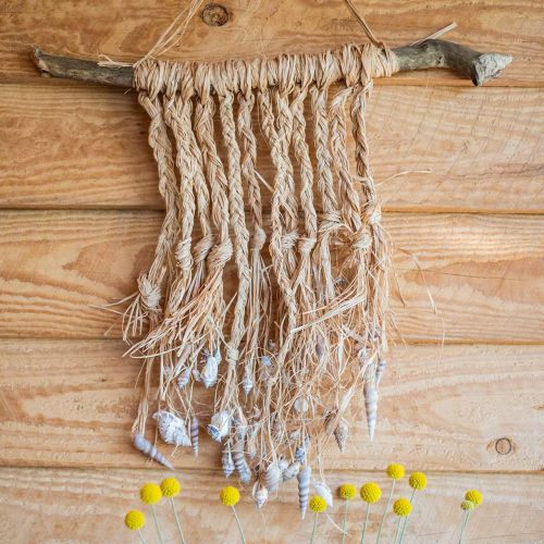 Floristik24 Sinisimpukkaseos luonto 3cm – 5cm 200g