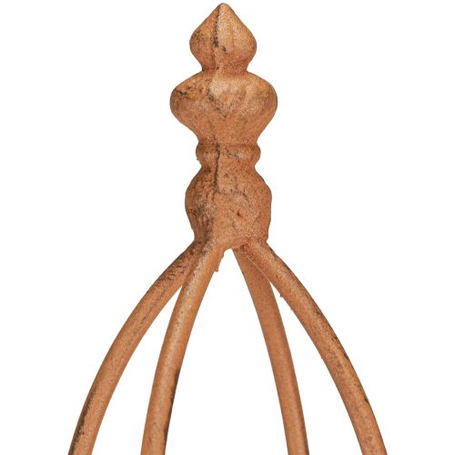 Floristik24 Trellis Metal Rust Look Obelisk 69/86cm 2 kpl setti