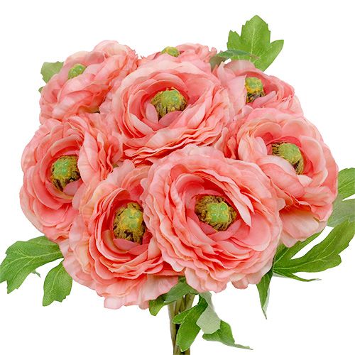 Floristik24 Ranunculus ruusu-vaaleanpunainen 27cm 8kpl