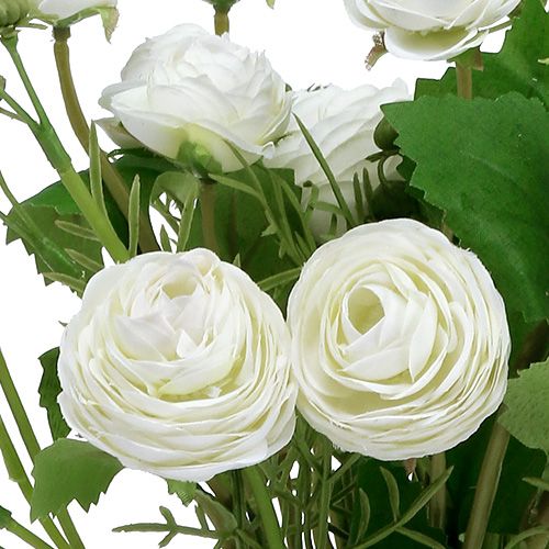 Floristik24 Ranunculus-kimppu valkoinen 42cm