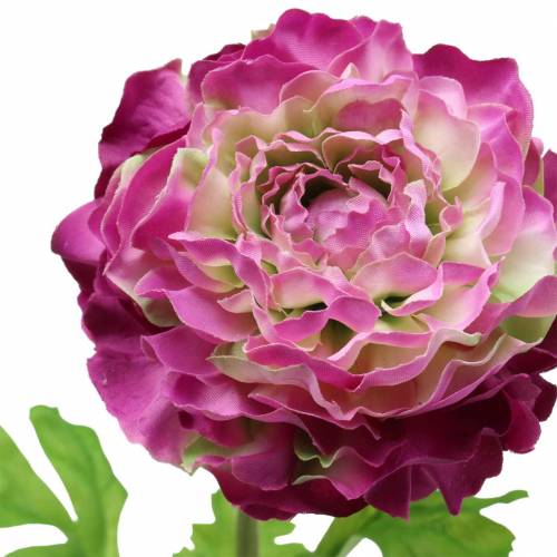 Floristik24 Ranunculus violetti keinotekoinen 48cm