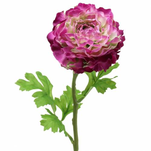 Floristik24 Ranunculus violetti keinotekoinen 48cm