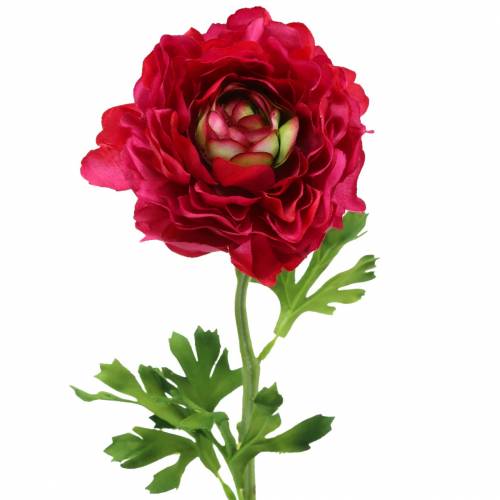 Floristik24 Ranunculus tummanpunainen keinotekoinen 51cm