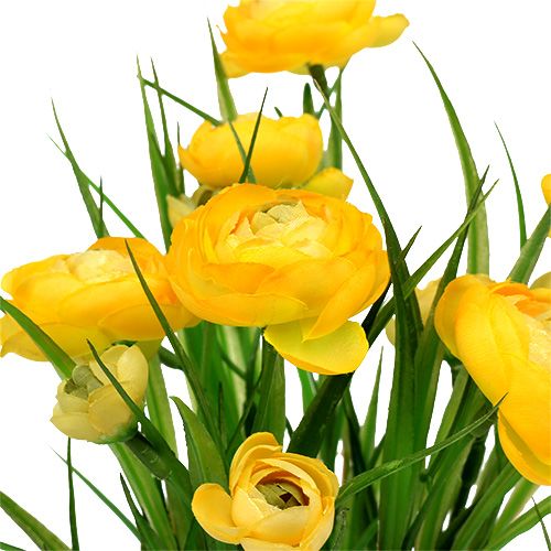 Floristik24 Ranunculus-kimppu ruoholla 35cm keltainen