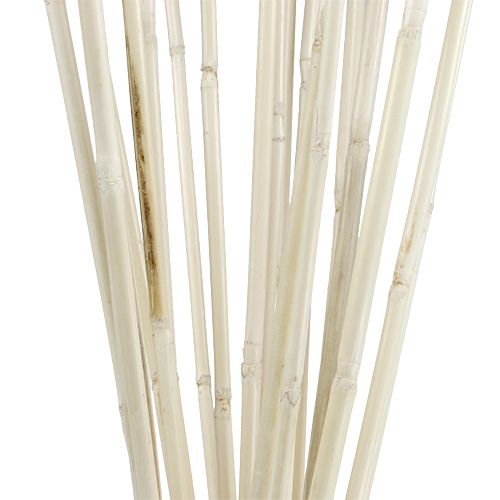 Floristik24 Rottinkikkut kalkitut 100cm 20 kpl