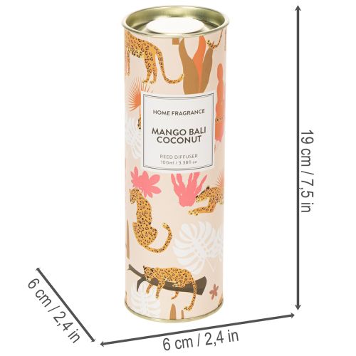 kohteita Huonetuoksudiffuusori eksoottisella kookoksen ja mangon tuoksulla pitkäkestoiseen raikkauteen kotona, 19 cm, 2 kpl