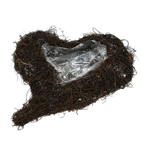 kohteita Viiniköynnöksen sydän istutukseen luontoon 30cm x 25cm