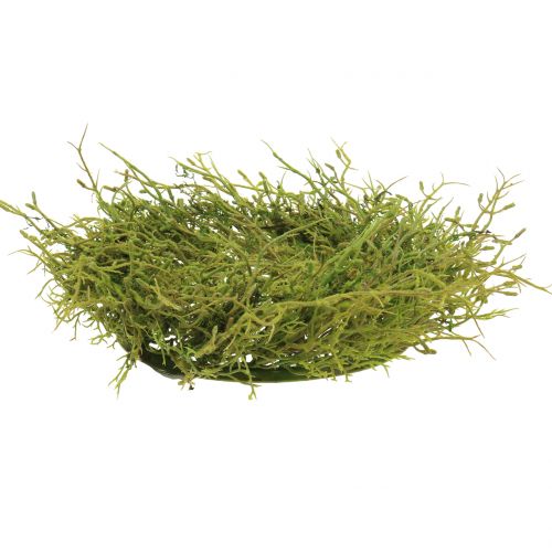 Floristik24 Kevään seppele sammalenvihreällä Ø30cm
