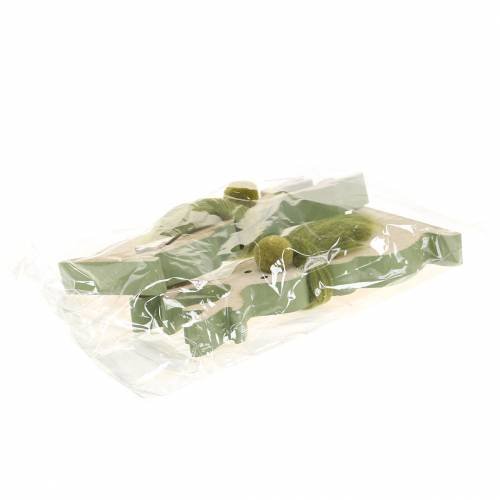 Floristik24 Poropuu 18cm 2kpl