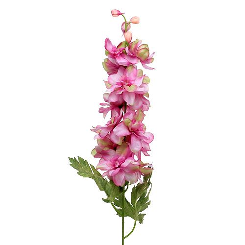 Floristik24 Larkspur vaaleanpunainen 60cm