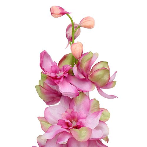Floristik24 Larkspur vaaleanpunainen 60cm