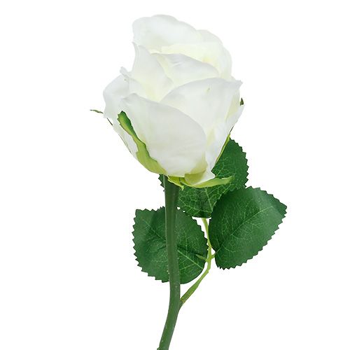 kohteita Ruusu valkoinen Ø6cm L30cm 6kpl