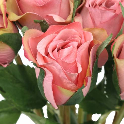 Floristik24 Ruusu vanha ruusu 42cm 12p