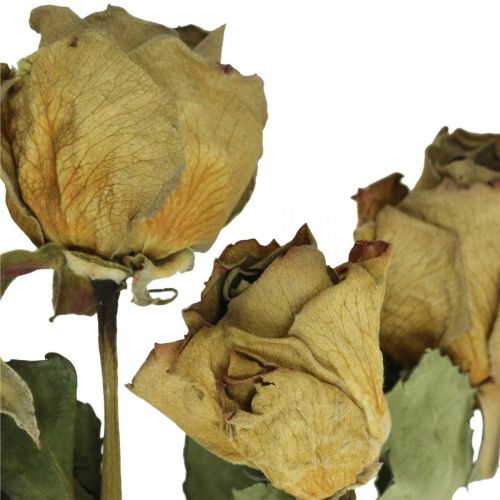 kohteita Kuivatut kukkaruusut, ystävänpäivä, kuivatut kukkakaupat, maalaismaiset koristeruusut kelta-violetti L45-50cm 5kpl