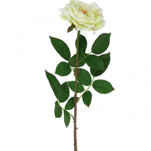 Keinotekoinen ruusu, koristeruusu, silkkikukka kermavalkoinen, vihreä L72cm Ø12cm