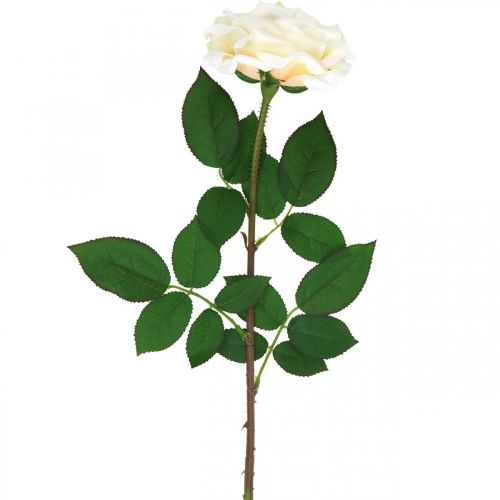 Kermanvalkoinen aprikoosiruusu, silkkikukka, tekoruusut L72cm Ø12cm