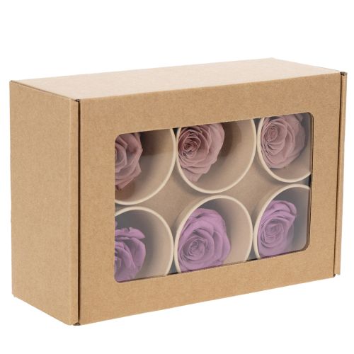 kohteita Säilöttyjä ruusunpäitä, romanttinen lahja, pitkäkestoisia ruusuja erityistilaisuuksiin, 5 cm, 6 kpl