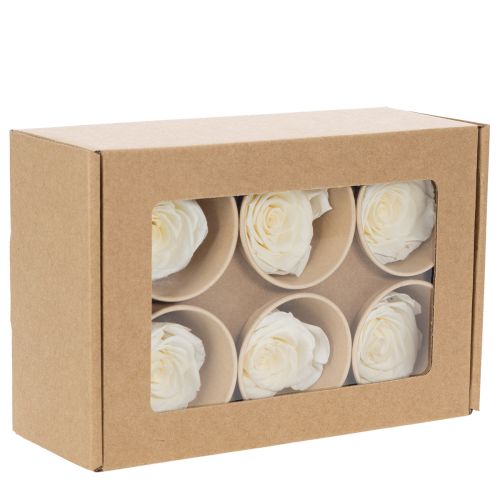 kohteita Säilöttyjä ruusunpäitä, kestävä pöytäkoriste romanttiseen tunnelmaan, hääkoriste, 5 cm, 6 kpl