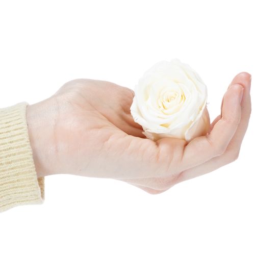 kohteita Säilöttyjä ruusunpäitä, kestävä pöytäkoriste romanttiseen tunnelmaan, hääkoriste, 5 cm, 6 kpl