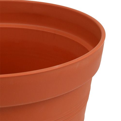 kohteita Ruusuruukku muovia 19cm terrakotta 1 kpl