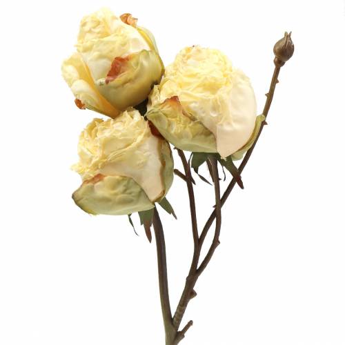 Floristik24 Keinotekoinen ruusuhaaran kerma valkoinen 45cm