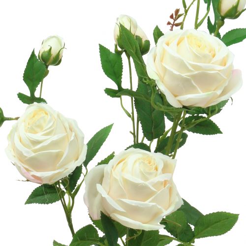 kohteita Ruusun oksa Crème/Rosè 100cm