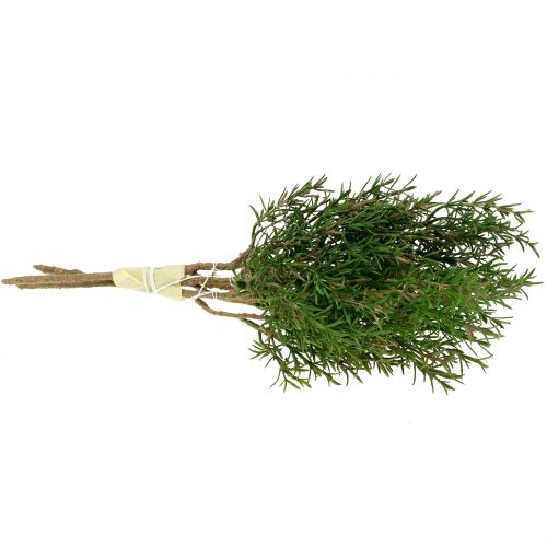 Floristik24 Rosmariinihaara 36cm 3kpl