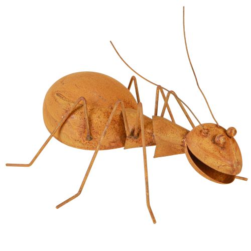 Floristik24 Ruostekoriste Ant Metal Decoration Ruostefiguuri Puutarha 21,5cm