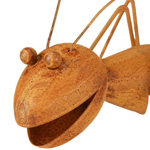 Floristik24 Ruostekoriste Ant Metal Decoration Ruostefiguuri Puutarha 21,5cm