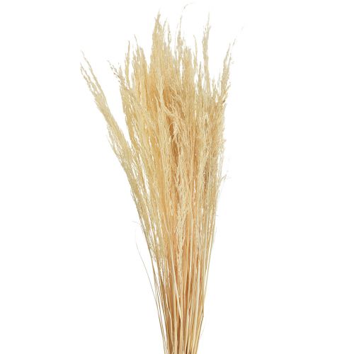 Taivutettu ruoho Agrostis Capillaris Kuiva ruoho valkaistu 65cm 80g